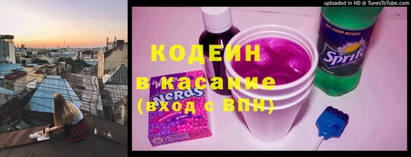 дурь Гусиноозёрск