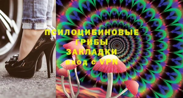 PSILOCYBIN Гусев