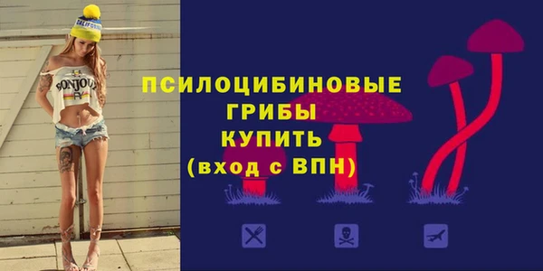 ALPHA PVP Гусь-Хрустальный