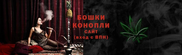 PSILOCYBIN Гусев
