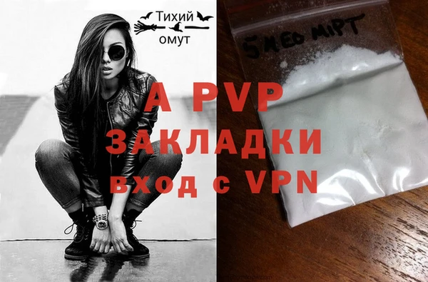 дурь Гусиноозёрск