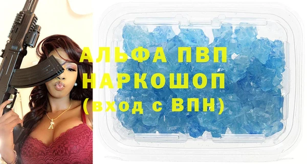 PSILOCYBIN Гусев