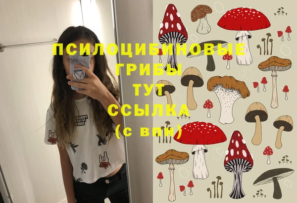 PSILOCYBIN Гусев