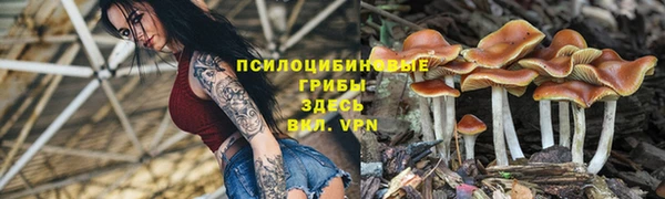 ALPHA PVP Гусь-Хрустальный