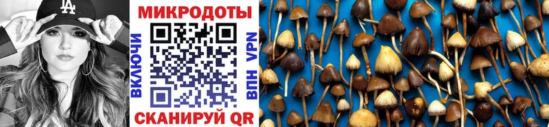 Галлюциногенные грибы мицелий  хочу   мега   Петровск-Забайкальский 