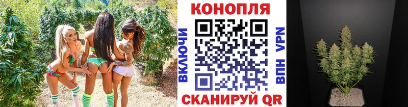 ссылка на мегу зеркало  Петровск-Забайкальский  Конопля марихуана 